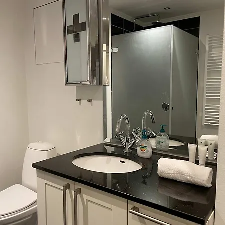 Lejlighed Luxurious Cph Flat Prime Location København