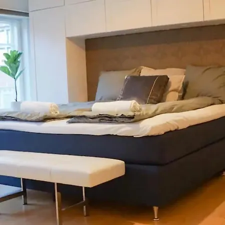 Luxurious Cph Flat Prime Location Lejlighed København