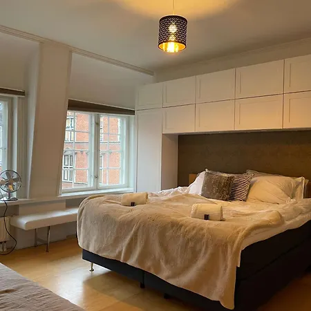 Luxurious Cph Flat Prime Location * København
