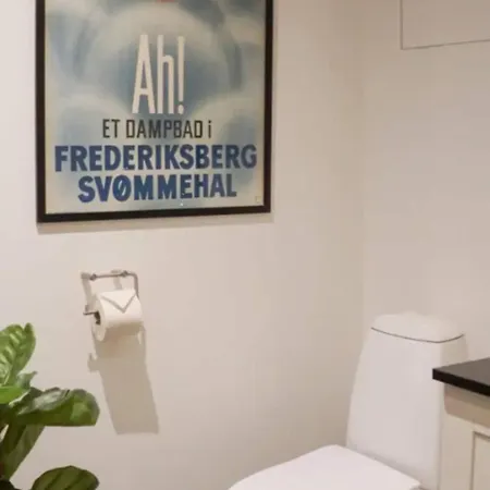 Luxurious Cph Flat Prime Location Lejlighed København