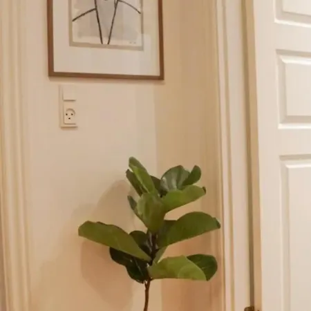 Luxurious Cph Flat Prime Location * København