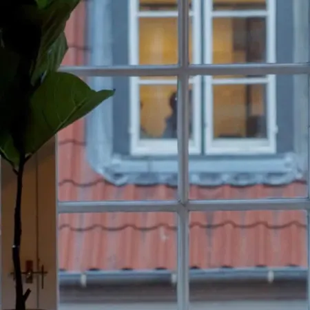 Luxurious Cph Flat Prime Location Lejlighed
